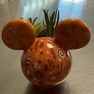 Mickey Mouse Halloween planter  w/ faux succulents.